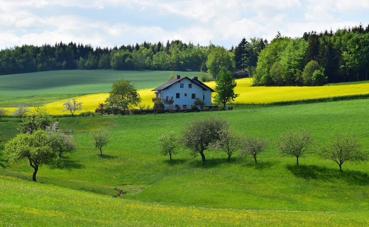 alquiler terreno agricola rural