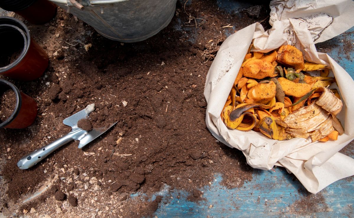 compost bicarbonato