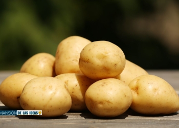 OCU evitar brotes verdes patatas