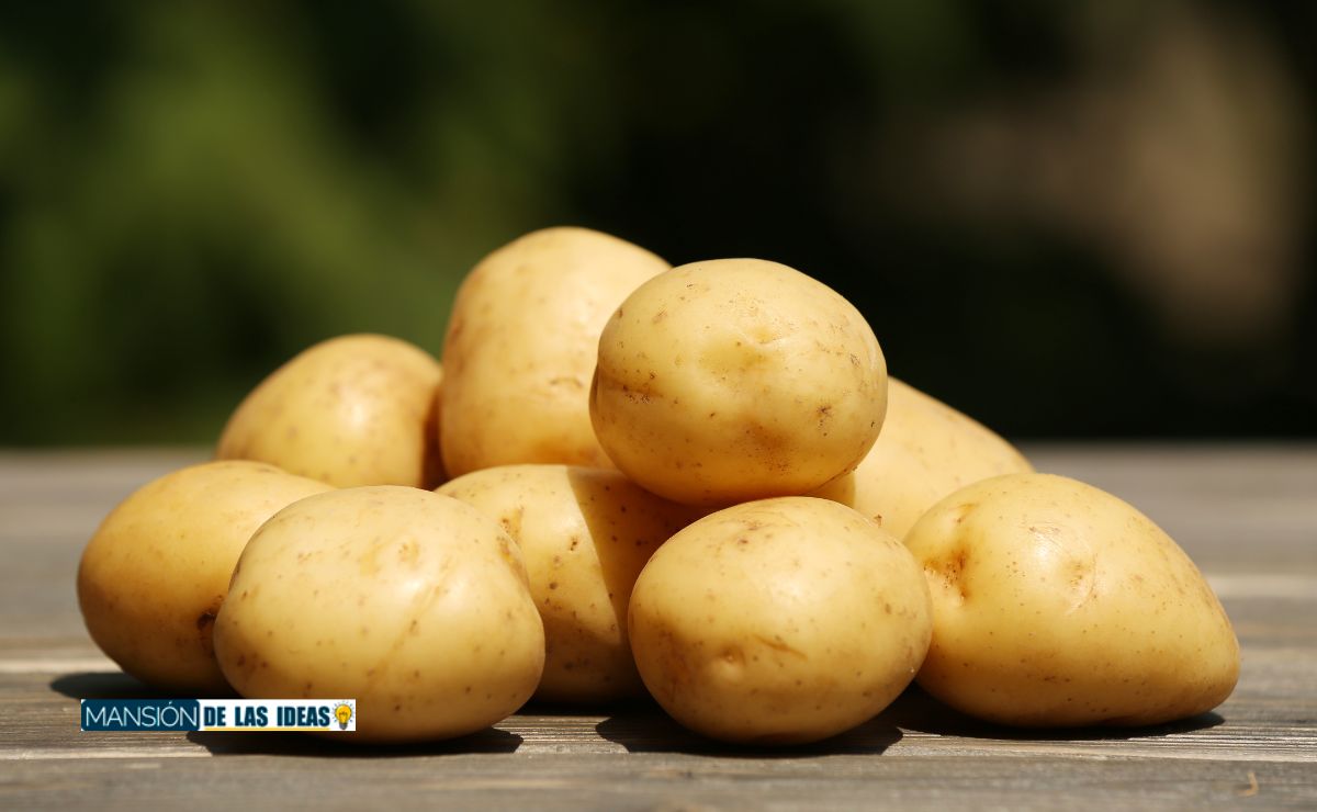 OCU evitar brotes verdes patatas