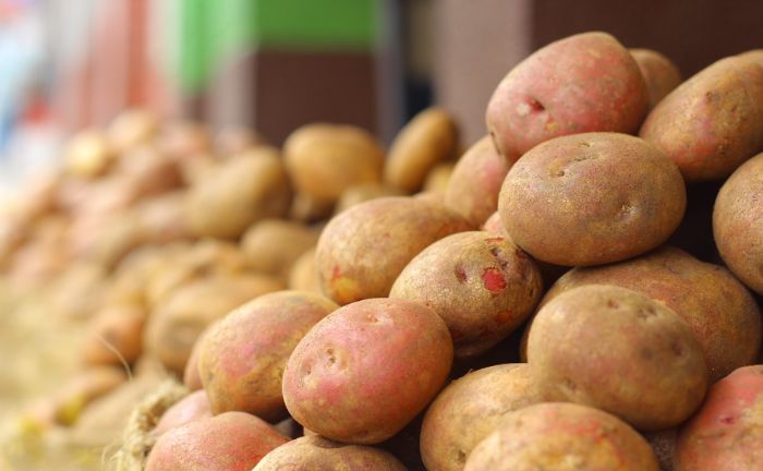 Prevenir brotes verdes patatas OCU