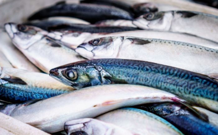 Distinguir pescados Mercadona
