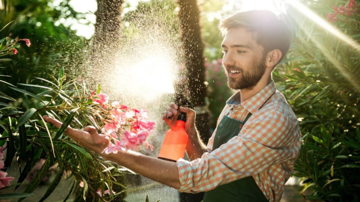 bicarbonato de sodio para plantas