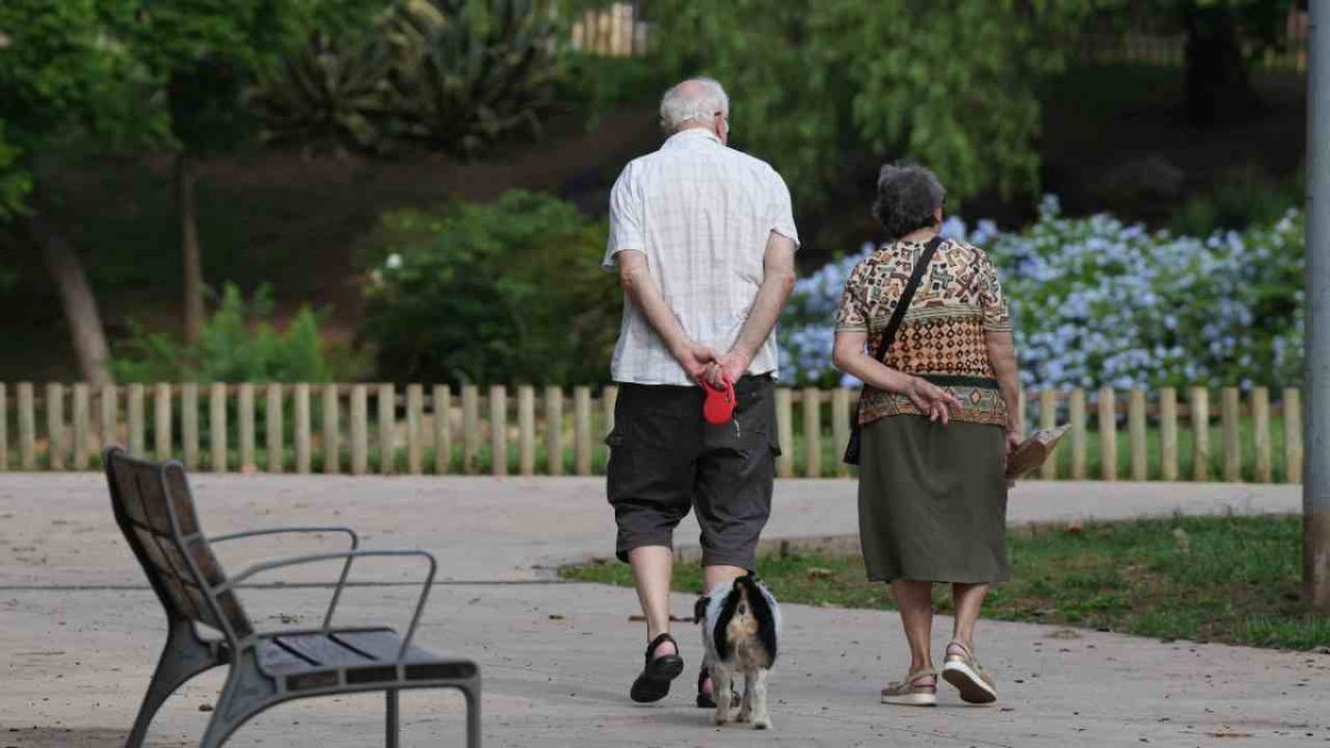 Pensión de jubilación y SMI